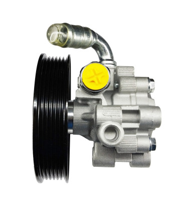 Power steering pump WRC 4902424