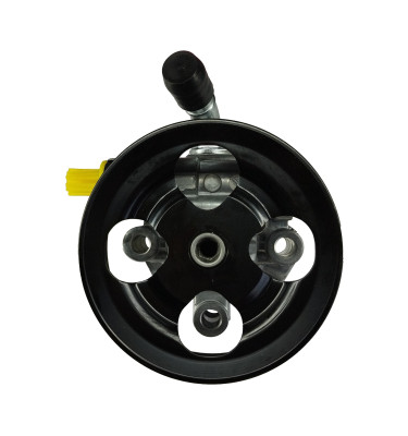 WRC Servolenkungspumpe 4902325