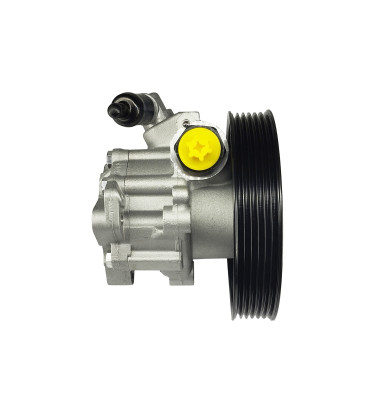 Pompa wspomagania układu kierowniczego DSP2379