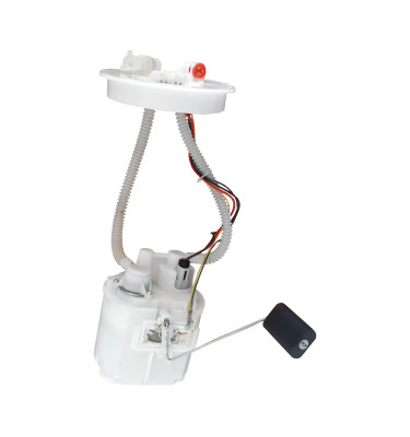 Komplette Kraftstoffpumpe WRC 6076900