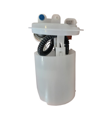 Komplette Kraftstoffpumpe WRC 6076870