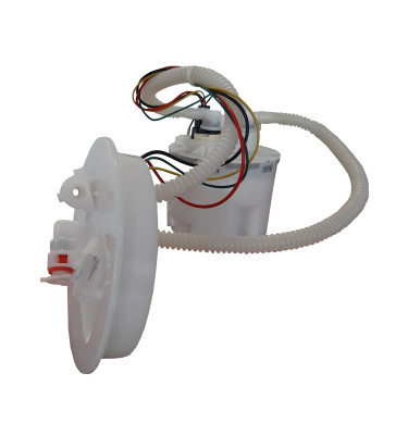 Komplette Kraftstoffpumpe WRC 6076854