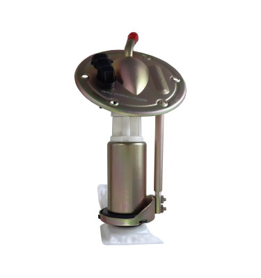 Komplette Kraftstoffpumpe WRC 6076977