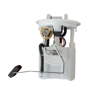 Komplette Kraftstoffpumpe WRC 6076570