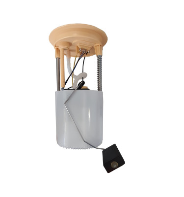 Komplette Kraftstoffpumpe WRC 6076836